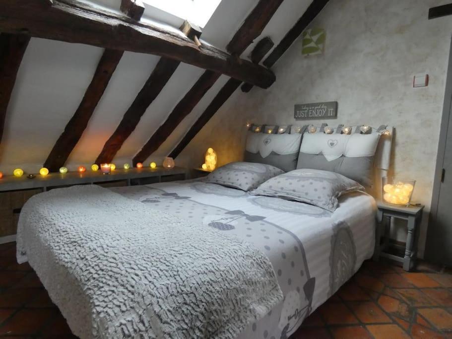 Maison De Charme Pres De Beauval Saint-Cyran-du-Jambot 外观 照片